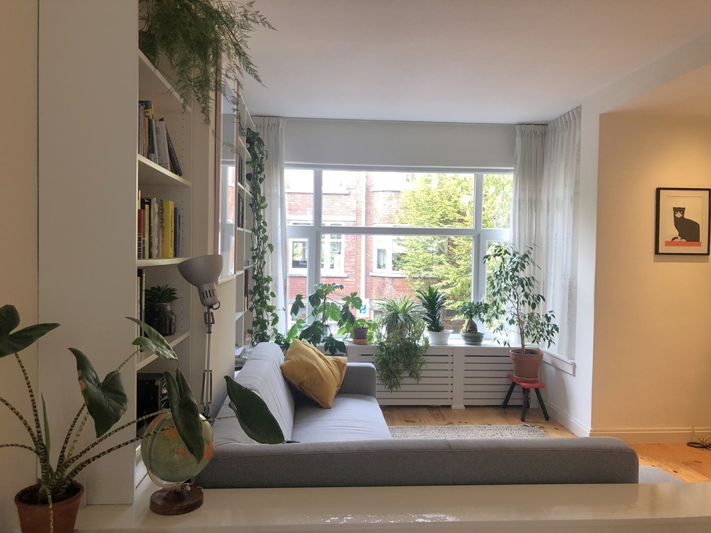 2020-10-24 12.16.01.jpg